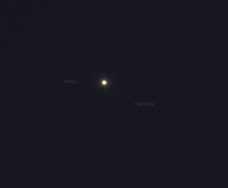 Venus v. Neptune