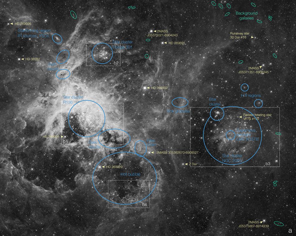 This annotated map identifies several prominent features in an image of the Tarantula Nebula. Credit: NASA, ESA, D. Lennon and E. Sabbi (ESA/STScI), J. Anderson, S. E. de Mink, R. van der Marel, T. Sohn, and N. Walborn (STScI), N. Bastian (Excellence Cluster, Munich), L. Bedin (INAF, Padua), E. Bressert (ESO), P. Crowther (Sheffield), A. de Koter (Amsterdam), C. Evans (UKATC/STFC, Edinburgh), A. Herrero (IAC, Tenerife), N. Langer (AifA, Bonn), I. Platais (JHU) and H. Sana (Amsterdam)