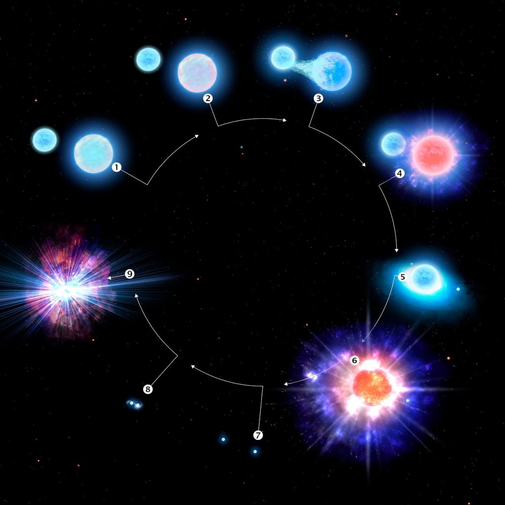 This infographic illustrates the evolution of the star system CPD-29 2176, the first confirmed kilonova progenitor. Stage 1, two massive blue stars form in a binary star system. Stage 2, the larger of the two stars nears the end of its life. Stage 3, the smaller of the two stars siphons off material from its larger, more mature companion, stripping it of much of its outer atmosphere. Stage 4, the larger star forms an ultra-stripped supernova, the end-of-life explosion of a star with less of a “kick” than a more normal supernova. Stage 5, as currently observed by astronomers, the resulting neutron star from the earlier supernova begins to siphon off material from its companion, turning the tables on the binary pair. Stage 6, with the loss of much of its outer atmosphere, the companion star also undergoes an ultra-stripped supernova. This stage will happen in about one million years. Stage 7, a pair of neutron stars in close mutual orbit now remain where once there were two massive stars. Stage 8, the two neutron stars spiral into toward each other, giving up their orbital energy as faint gravitational radiation. Stage 9, the final stage of this system as both neutron stars collide, producing a powerful kilonova, the cosmic factory of heavy elements in our Universe. Image Credit: CTIO/NOIRLab/NSF/AURA/P. Marenfeld 