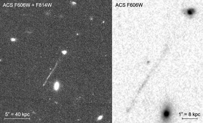 These images from the Hubble's Advanced Camera for Surveys show the linear feature that may be the result of a rogue SMBH. Image Credit: van Dokkum et al. 2023
