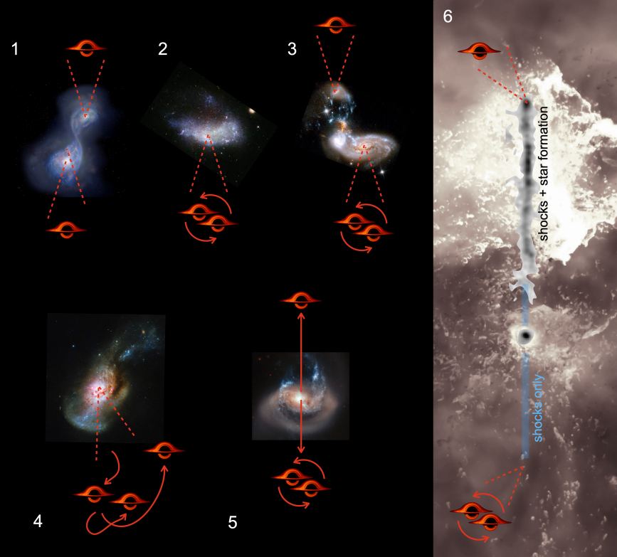This schematic from the research shows how a rogue black hole is born. In 1 and 2, a merger leads to the formation of a long-lived binary SMBH. In 3, a third galaxy comes in, and its SMBH sinks to the center of the new remnant. This creates a three-body interaction in 4. The least massive SMBH becomes unbound from the other two and receives a velocity kick in the opposite direction. 5 shows that if there's a powerful enough velocity kick, then it's possible that all three SMBHs could be ejected. 6 is a frame from Illustris TNG showing that the circumgalactic medium can have highly assymetric flows, and the SMBH at A is travelling through such a region of relatively dense and cold CGM. Image Credit: van Dokkum et al. 2023