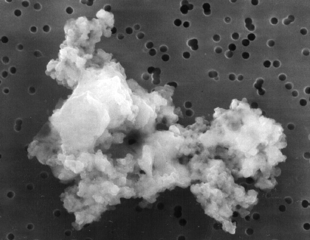 This piece of interplanetary dust is thought to be part of the early solar system and was found in our atmosphere, demonstrating lightweight particles could survive atmospheric entry as they do not generate much heat from friction.  Similar particles from other star systems could be landing on Earth. Courtesy NASA