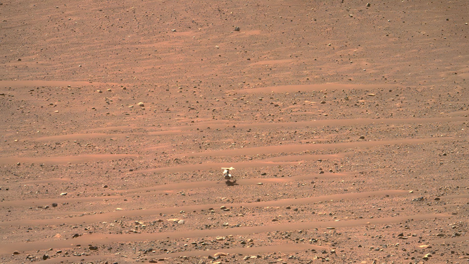 This image taken by the Perseverance rover of the Ingenuity helicopter is a composite of a single Left- and Right-Mastcam-Z camera photo, both taken at a local mean solar time of 2:25 pm Wednesday, 8 March 2023. Credit: NASA/JPL-Caltech/ASU.