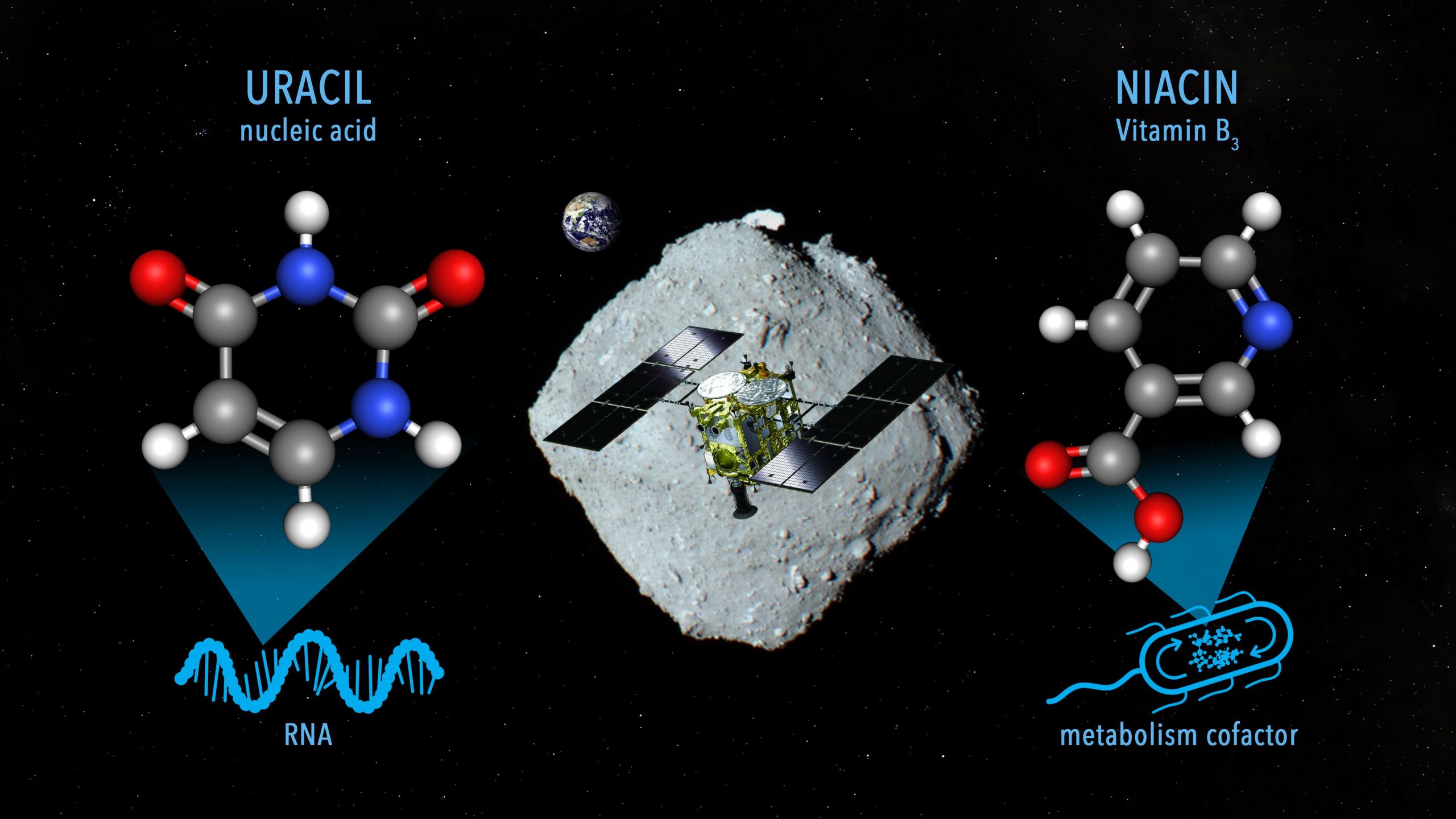 El asteroide Ryugu contiene niacina (también conocida como vitamina B3)