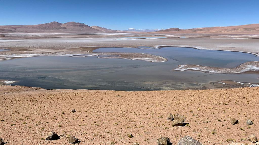 This is the Quisquiro salt flat in South America's Altiplano. The salt flats, or salars, in the Altiplano contain thick layers of bright salt that have protected glacier ice buried underneath. The Altiplano is often considered an analog of ancient Mars. Image Credit: NASA/Maksym Bocharov