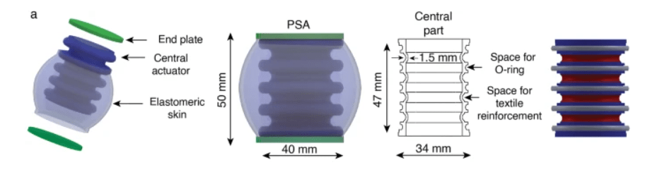 This figure from the paper shows the peristaltic soft actuator. The prototype robot has five of them. Image Credit: Das et al. 2023.