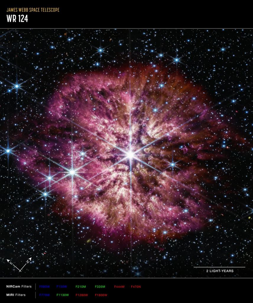 The luminous, hot star Wolf-Rayet 124 (WR 124) sits in the centre of this NASA/ESA/CSA James Webb Space Telescope's composite image combining near-infrared and mid-infrared wavelengths of light. The star displays the characteristic diffraction spikes of Webb's Near-infrared Camera (NIRCam) caused by the physical structure of the telescope itself. NIRCam balances the star's brightness with the fainter gas and dust surrounding it, while Webb's Mid-Infrared Instrument (MIRI) reveals the nebula's structure. The nebula's structure reveals the star's past episodes of mass loss. Rather than smooth shells, the nebula is formed from random, asymmetric ejections. Bright clumps of gas and dust appear like tadpoles swimming toward the star, and the stellar wind forms tails streaming out behind them. Image Credit: NASA, ESA, CSA, STScI, Webb ERO Production Team