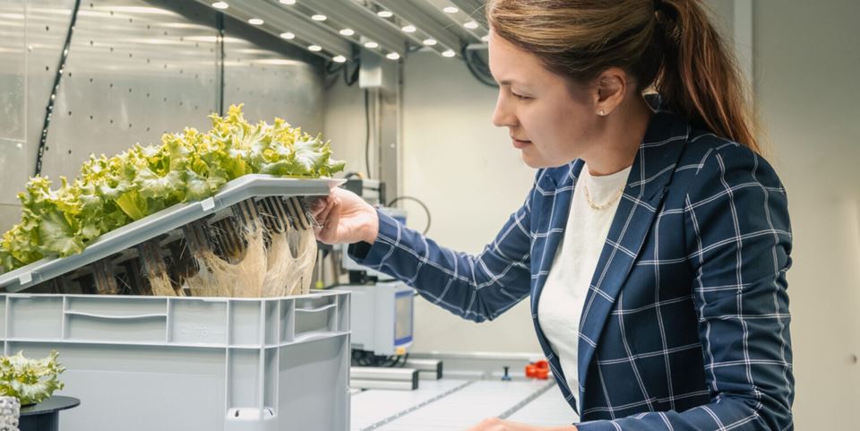 SINTEF researcher Galina Simonsen pictured here demonstrating the growing medium for Moon salad in the laboratory at the CIRiS/NTNU Social Research Centre in Trondheim. Photo: Jana Pavlova