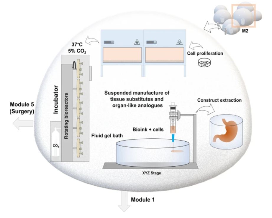 The space habitat outlined in the paper has five modules. This figure from the paper shows one of them, the tissue/bio-engineering module. Image Credit: Iordachescu et al. 2023