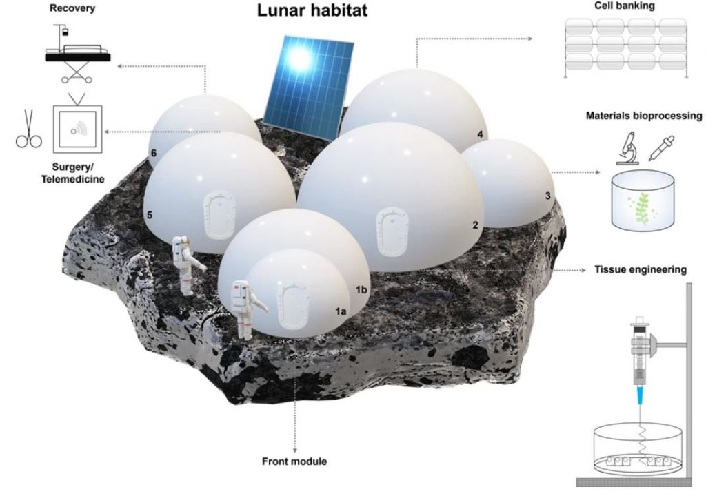 This figure from the research shows a lunar module designed for bio-engineering and surgical repair. Image Credit: Iordachescu et al. 2023