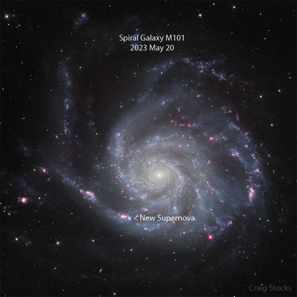 مجرة مألوفة لديها مستعر أعظم جديد.  يمكنك رؤيته بواسطة تلسكوب صغير
