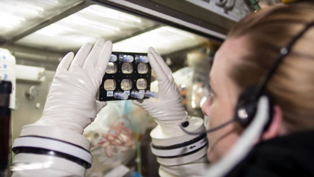 Microbiologist and astronaut Kate Rubins examines stem cell–derived heart muscle cells aboard the International Space Station. Image Credit: NASA