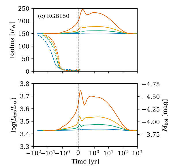 This figure from the study shows the changes in radius and magnitude for one of the host stars modelled in the study. The top panel shows how a star can expand and contract multiple times during engulfment. The bottom panel shows how the star's magnitude changes. Image Credit: O'Connor et al. 2023. 