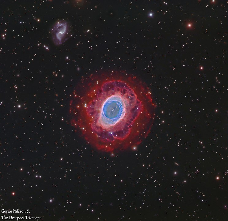 This image of the ring nebula, also called M57, shows the intricate filaments and blobs of gas and dust that surround the white dwarf in the center. Image Credit: By Göran Nilsson & The Liverpool Telescope - Own work, CC BY-SA 4.0, https://commons.wikimedia.org/w/index.php curid=63295181 
