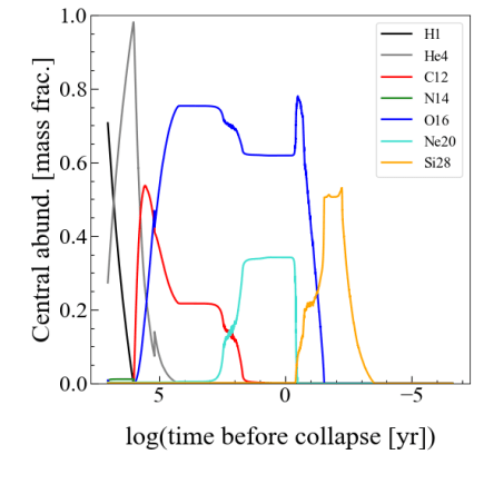 This figure from the study shows the abundance of the various elements in Betelgeuse.  The initial abundance is like a fingerprint or a snapshot of what's going on inside the core, what stage the carbon is burning inside the star, and when it will explode.  Fusion products from the core are periodically dredged from the core to the surface by convection, giving researchers a glimpse into the core.  But determining when it will explode also depends on knowing the initial mass of the star, how fast it is spinning, and a host of other factors, which are difficult to determine to varying degrees.  Image credit: Saio et al.  2023.