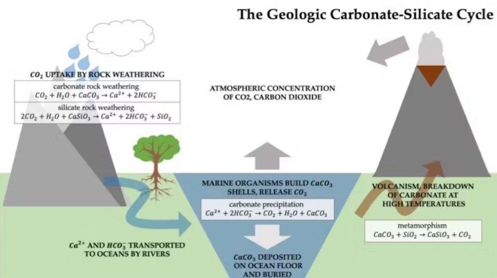When carbonic acid dissolves calcium and magnesium silicate minerals, they break down into dissolved compounds, some of which contain carbon. These materials can flow to the ocean, where marine organisms use them to build shells. Later the shells are buried in ocean sediments. Volcanic activity releases some carbon back into the atmosphere, but much of it stays buried in rock for millions of years. Gretashum/Wikipedia, CC BY-SA