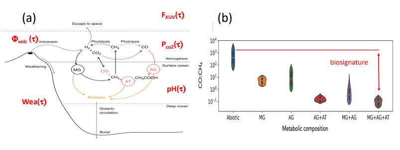 This figure from the study illustrates the researchers' idea. It's a schematic representation of the Earth populated by a basic ecosystem involved in methanogenesis. The parameters that vary during the planet's lifetime, ?, are indicated in red. ?vol c (?) stands for the volcanic outgassing, Wea(?) represents weathering, PCO2 (?) is the CO2 surface pressure, pH(?) is the ocean pH, and FXUV (?) is the stellar flux. (b) Shows the distributions of the CO:CH4 ratio for each plausible evolutionary scenario involving the basic metabolisms considered in the basic ecosystem. Image Credit: Mazevet et al. 2023.