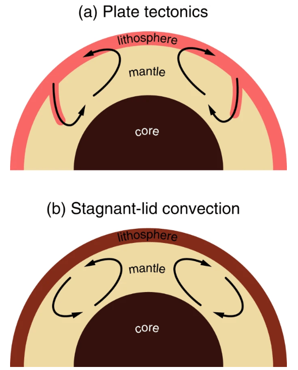 This figure shows the main difference between plate tectonics and stagnant lid tectonics. Image Credit: Karato and Barbot 2018. 