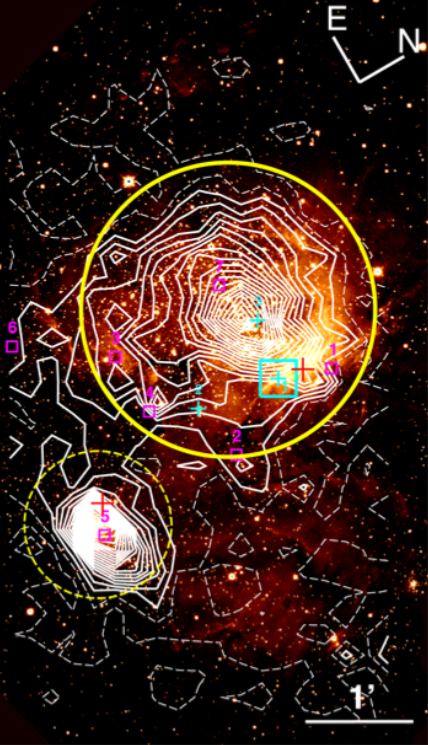 This figure from the study shows the two clusters in S209 (yellow circles.) The white lines are like topography lines on a map, but instead of elevation, they show the density of stars. The magenta squares are molecular-cloud cores. Image Credit: Yasui et al. 2023.