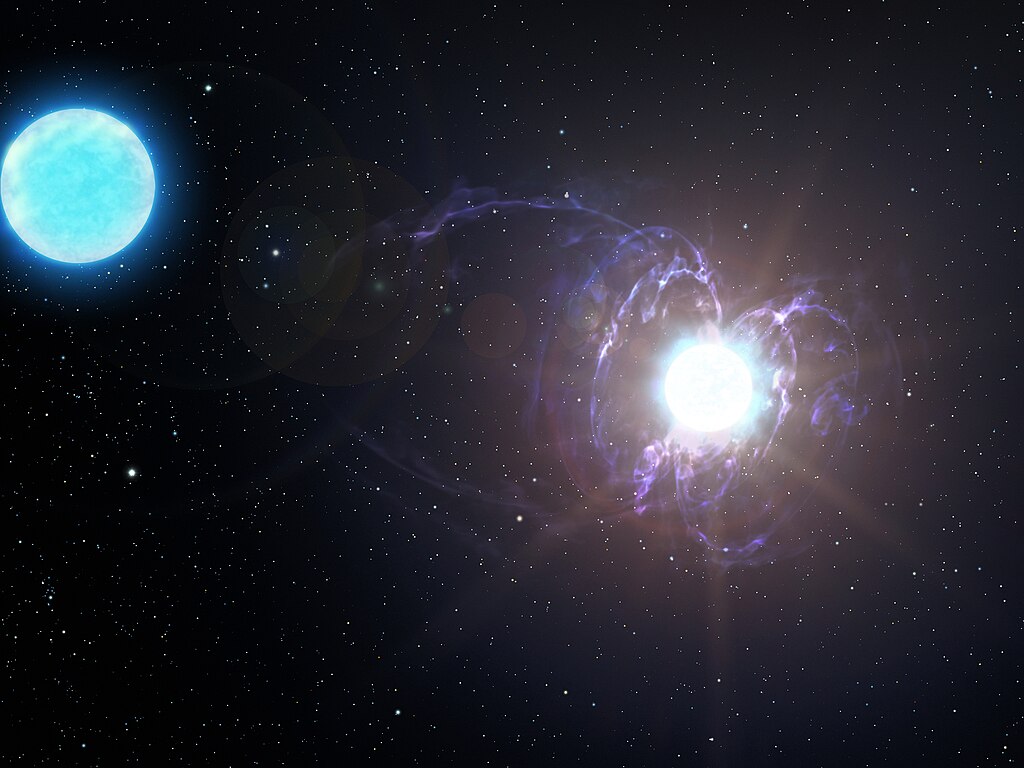 This artist's impression shows a highly unusual star that is destined to become one of the most magnetic objects in the Universe: a variant of a neutron star known as a magnetar. This finding marks the discovery of a new type of astronomical object—a massive magnetic helium star—and sheds light on the origin of magnetars. Eventually, HD 45166 will explode as a very bright, but not particularly energetic, supernova. Its core will contract, trapping and concentrating the star’s already daunting magnetic field lines. The result will be a neutron star with a magnetic field far greater than its progenitor. Courtesy NOIRLAB.