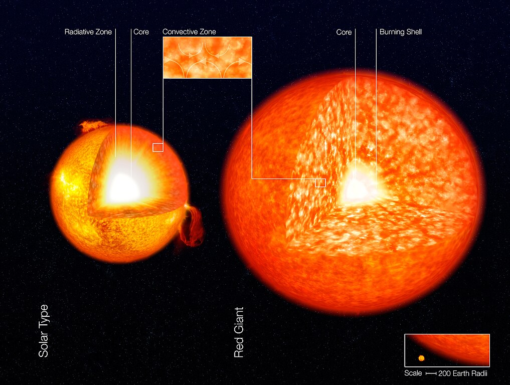 Artist's impression of the structure of a solar-like star and a red giant. The two images are not to scale - the scale is given in the lower right corner. In red giants, the convection zone is much larger, encompassing more than 35 times more mass than in the Sun. Image Credit: By ESO - http://www.eso.org/public/images/eso0729a/, CC BY 4.0, https://commons.wikimedia.org/w/index.php?curid=26372192