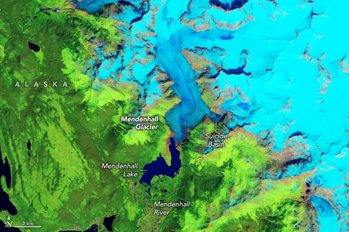 Il ghiacciaio Mendenhall in Alaska si sta restringendo a causa dell'aumento delle temperature.  Per gentile concessione dell'NSIDC. 