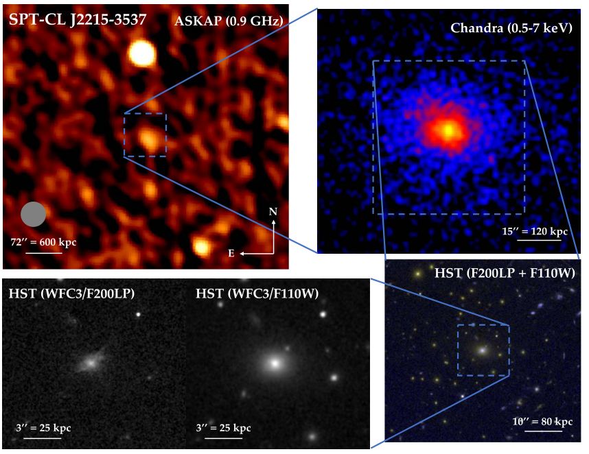 This figure from the research helps illustrate the galaxy cluster's unusual properties. It shows successive zoomed-in images of SPT2215 with different telescopes and at different wavelengths. The upper left shows an ASKAP (Australian Square Kilometre Array Pathfinder) image in radio waves with the AGN in the center. The upper right is a Chandra X-Ray image showing "a very relaxed ICM <intracluster medium> morphology and a strongly peaked central surface brightness profile." The bottom right shows a Hubble composite image of the BCG <bright cluster galaxy>, and the bottom left shows two different Hubble images. Filaments are visible that indicate strong star formation. Image Credit: Calzadilla et al. 2023.