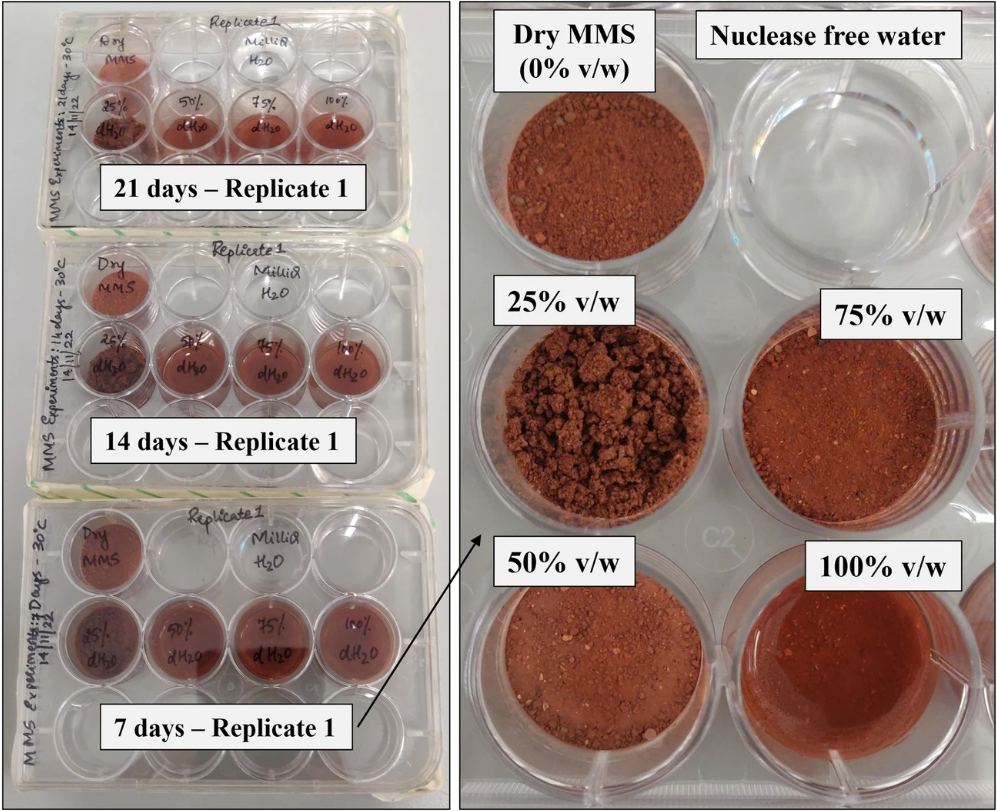 The team's research centred on cultures in three separate twelve-well plates filled with soil from the Atacama Desert, a Mars analogue. Different amounts of water were added as part of the experiments. Image Credit: Raghavendra et al. 2023.