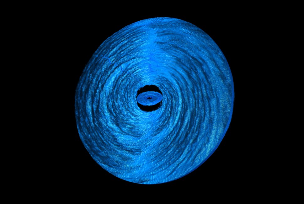 The Summit supercomputer simulations show that a black hole's accretion disk is torn into two sub-disks and the black hole eats the inner disk quickly, creating a short-lived quasar. Image Credit: Kaaz et al. 2023.