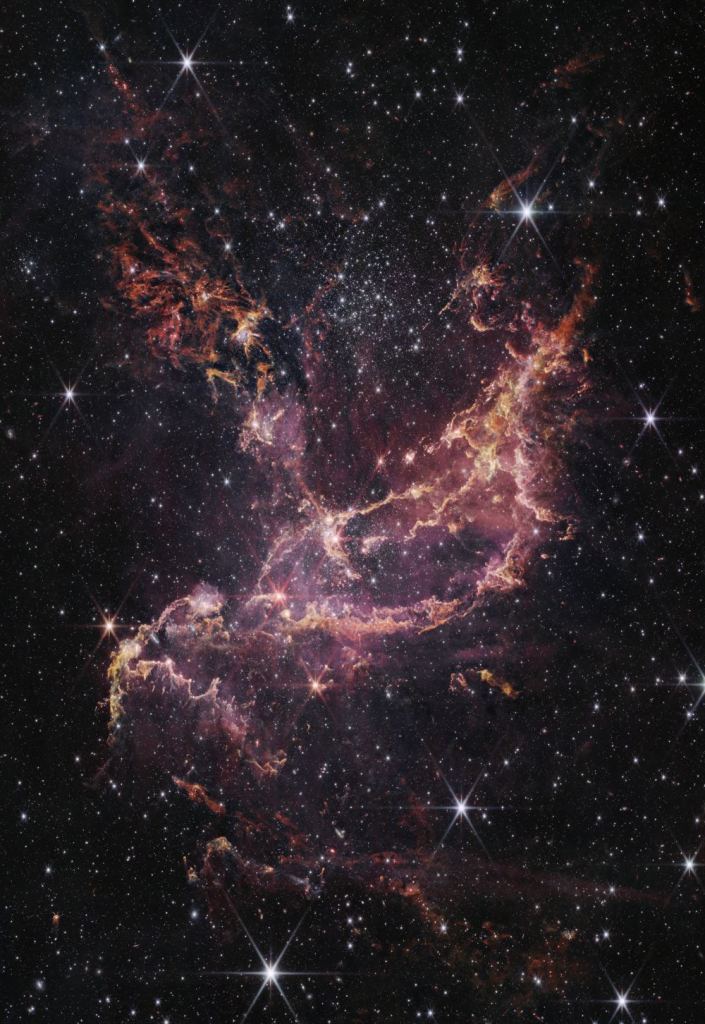 This is the JWST's NIRCam image of the same region, NGC 346. This image cuts through more of the gas and dust to reveal more individual stars. Combining the images gives astronomers a more complete idea of the star-forming region. Image Credit: NASA, ESA, CSA, STScI, A. Pagan (STScI); CC BY 4.0
