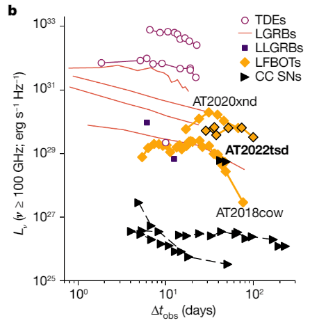 This figure from the research shows how the light from AT2022tsd compares to other bright transient objects. TDEs, shown in purple circles, are well outside the parameter space of the Tasmanian Devil. Other objects in the figure are Long Gamma-Ray Bursts (LGRBs) and their cousins, Long-Duration, Low-Luminosity Gamma-Ray Bursts. The figure also shows LFBOTs and CC SNs, which are Core-Collapse Supernovae. The signals from AT2022tsd don't match those from gamma-ray bursts, tidal disruption events, or supernovae. Image Credit: Ho et al. 2023.