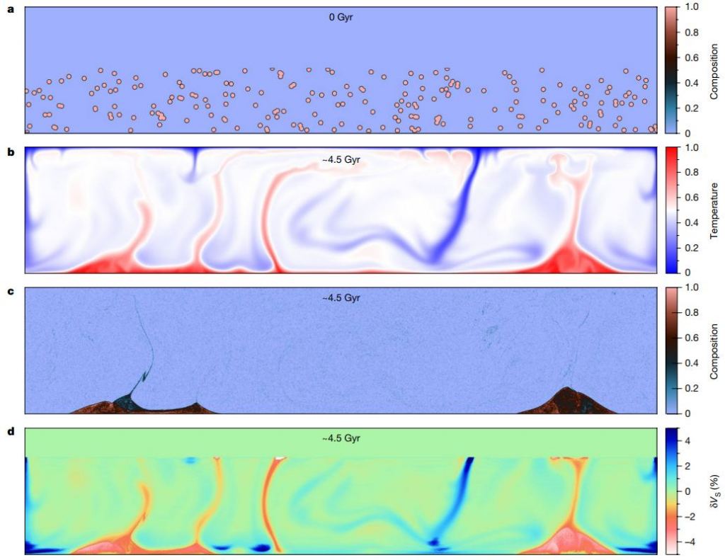 This figure from the study's simulations shows how the Great Impact formed LLSVP-like thermochemical piles from Theia Mantle Material. a shows how TMM is introduced to a depth of 1400 km to the core-mantle boundary (CMB.) When introduced, the material is in the form of randomly distributed spheres. b shows the temperature at 4.5 billion years. c shows the TMM accumulating into two distinct LLVPS-like thermochemical piles. d shows the perturbations measured in the seismic shear velocity. Image Credit: Yuan et al. 2023.