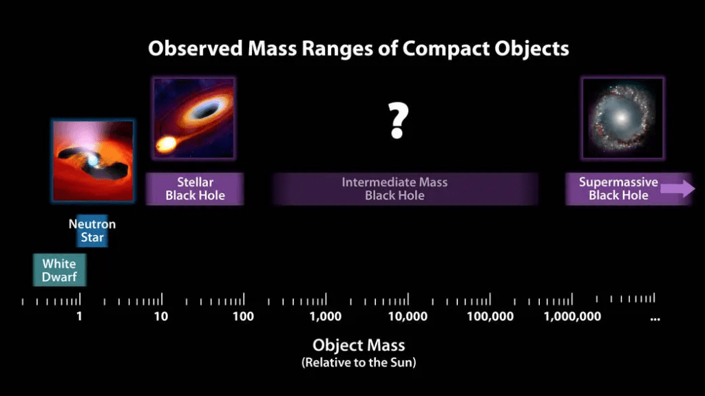 This chart illustrates the relative masses of super-dense cosmic objects, ranging from white dwarfs to the supermassive black holes encased in the cores of most galaxies. Primordial black holes, if they exist, sit between neutron stars and stellar black holes. Image Credit: NASA/JPL-Caltech