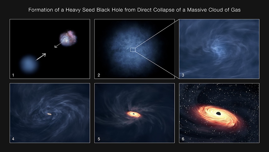 This set of illustrations explains how a large black hole can form from the direct collapse of a massive cloud of gas a few hundred million years after the big bang. Panel #1 shows a massive gas cloud and a galaxy moving towards each other. If the formation of stars in the gas cloud is stalled by radiation from the incoming galaxy - preventing it from forming a new galaxy — the gas can instead be driven to collapse and form a disk and black hole. Panels #2 and #3 show the beginning of this gas collapse in the center of the cloud. A small black hole forms in the center of the disk (panel #4) and the black hole and disk then continue to grow (panel #5). This massive black hole "seed" and its disk then merge with the galaxy shown in panel #1. For a period the black hole is unusually massive compared to the mass of the stars in the galaxy, making it an Outsize Black Hole (panel #6). Stars and gas from the galaxy are pulled in by the black hole, causing the black hole and disk to grow even larger. Courtesy NASA/STScI/Lea Hustak