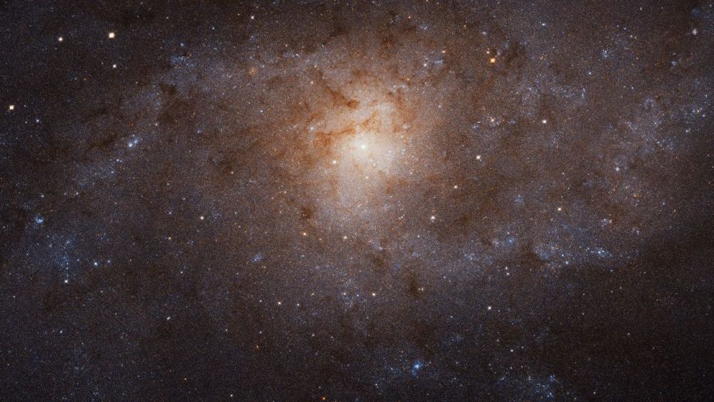 Galaxy M33 (Triangulum Galaxy) as seen by Hubble Space Telescope. JWST was used recently to observe sites in its southern arm where newly forming stars (YSOs) appear to lie.