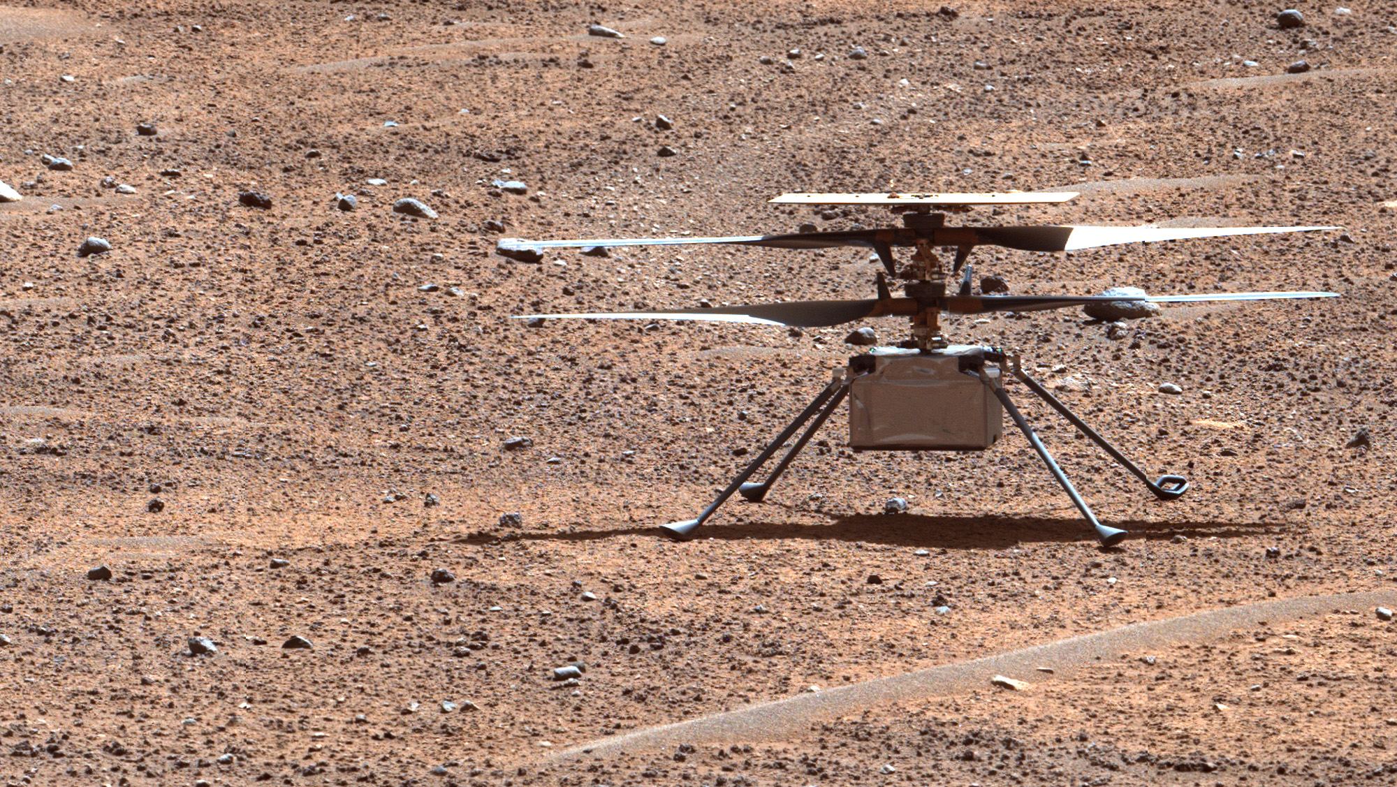 Ingenuity stood on the surface fo Mars