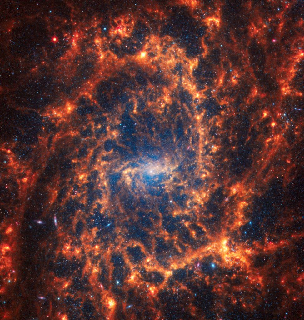 This is NGC 2835, a spiral galaxy about 35 million light-years away that has four or five spiral arms. Blue dots are very young stars that have blown away nearby gas and dust with their powerful UV light. Orange/red clumps are where even younger stars reside. They're still surrounded by gas and dust. Several background galaxies are visible in the image. Image Credit: NASA, ESA, CSA, STScI, Janice Lee (STScI), Thomas Williams (Oxford), PHANGS Team