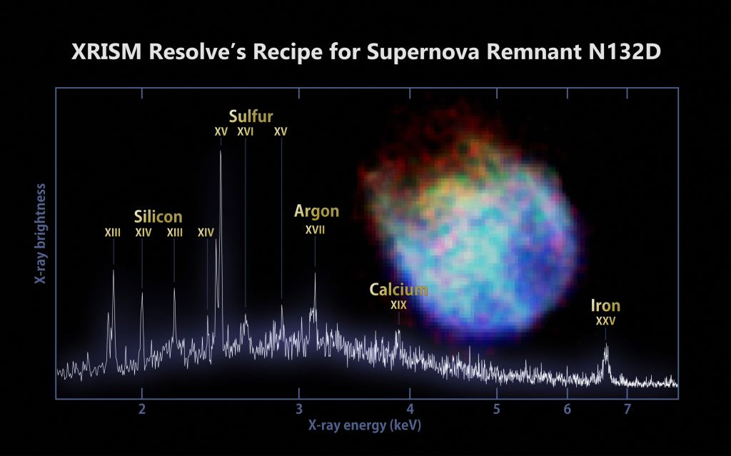 XRISM's X-ray spectrum of N132 reveals the presence of Silicon, Sulfur, Argon, Calcium, and Iron. The numbers indicate the number of electrons lost, or the ionization state, required to produce each peak. These elements originated in the remnant's progenitor star and blasted out into space when it exploded as a supernova. Image Credit: JAXA/NASA/XRISM Resolve and Xtend