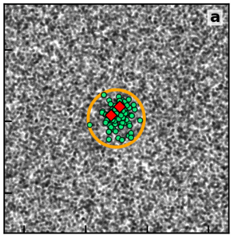 This figure from the research shows some of the target stars the astronomers observed in VVV CL002. The red diamonds indicate two red giants in the cluster, which played an important role in their observations. Image Credit: Minniti et al. 2023.