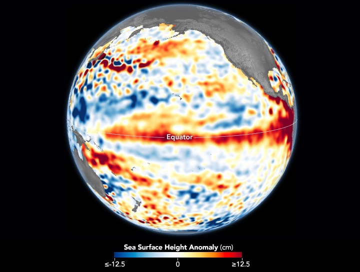This image shows how the El Niño Southern Oscillation (ENSO) affects global temperatures. There are three phases in the South Pacific's ENSO: El Niño, La Niña, and neutral, or average. El Nino is a weakening of trade winds that blow from east to west in the South Pacific, allowing the sea surface to warm up and rise. La Nina is the opposite: the winds become stronger, and sea temperatures become cooler than normal. La Nina can help offset some of the effects of climate change, but only temporarily. Image Credit:  NASA