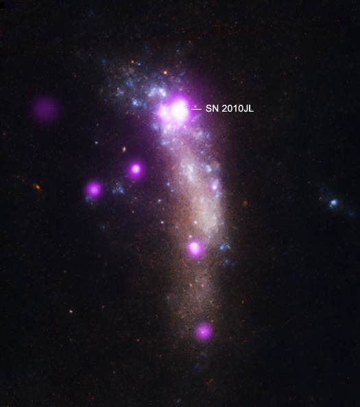 This 2012 composite image shows the galaxy UGC 5189A in X-ray data from Chandra (purple) and optical data from Hubble (red, green and blue.) The very bright source near the top of the galaxy is SN 2010jl. Image Credit: X-ray: NASA/CXC/Royal Military College of Canada/P.Chandra et al.); Optical: NASA/STScI