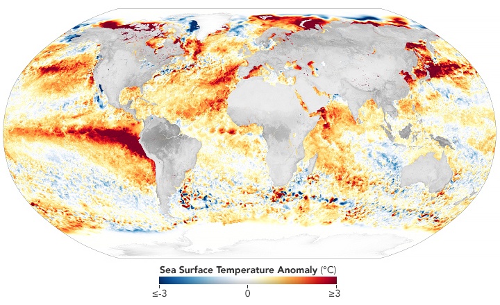 This image shows anomalies in the sea surface temperature. These temperatures reached new record highs in 2023. Image Credit: NASA.