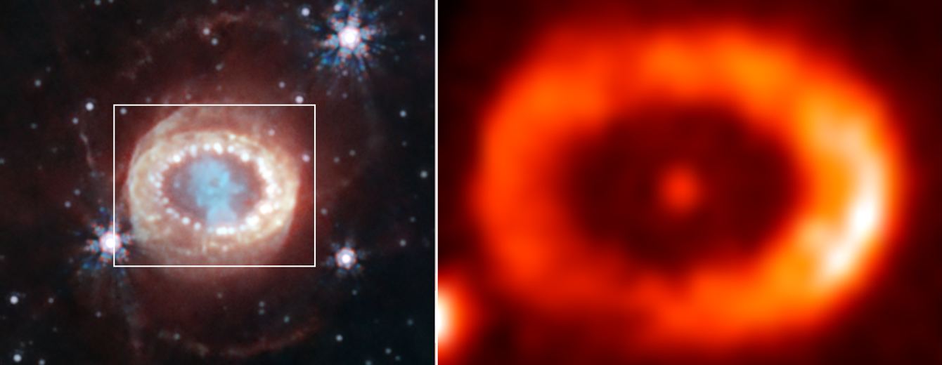 ¡finalmente!  Webb encuentra una estrella de neutrones procedente de la supernova 1987A