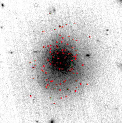 The JWST was able to discern individual stars in the dwarf galaxy, as shown in this image from the research. Image Credit: Carleton et al. 2024