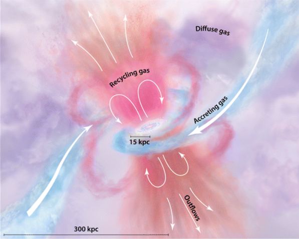 This graphic shows some of the details of the CGM, though much of it is uncertain. At the very center are the galaxy's red central bulge and blue gaseous disk. Gaseous outflows emerge in pink and orange, and some is recycled back into the galaxy. The diffuse gas is shown in mixed tones to reflect its multiple sources. The accreting gas is moving directly into the galaxy. Image Credit: Tumlinson J. et al. 2017. 