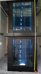 Uma água-viva bio-híbrida desce pelo tanque de três andares no qual foram realizados os testes de natação