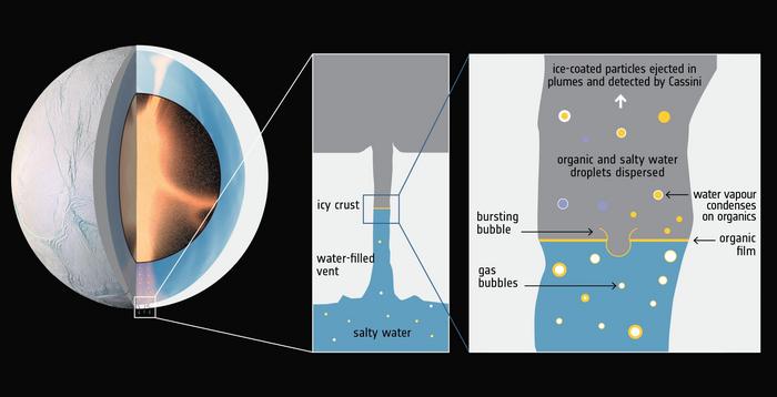 The drawing on the left shows Enceladus and its ice-covered ocean, with cracks near the south pole that are believed to penetrate through the icy crust. The middle panel shows where life could thrive: at the top of the water, in a proposed thin layer (shown yellow) like on Earth's oceans. The right panel shows that as gas bubbles rise and pop, bacterial cells could get lofted into space with droplets that then become the ice grains that were detected by Cassini. A mass spectrometer should be able to detect cellular matter on a single ice grain. Image Credit: European Space Agency
