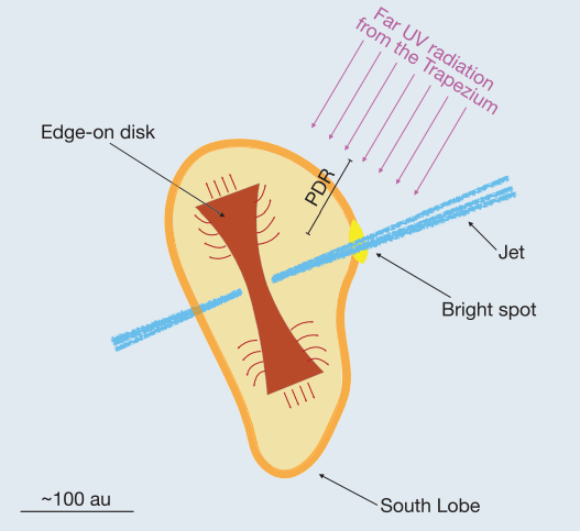 This schematic from the research illustrates some of the forces involved in the d203-506 planet-forming disk. Features like the bright spot and the jets are visible but unlabelled in the JWST images preceding this one. The brown arrows show gas being driven out of the disk by the FUV radiation, which produces the tan envelope around the disk. The orange outline is the dissociation front. Image Credit: Berne et al. 2024.