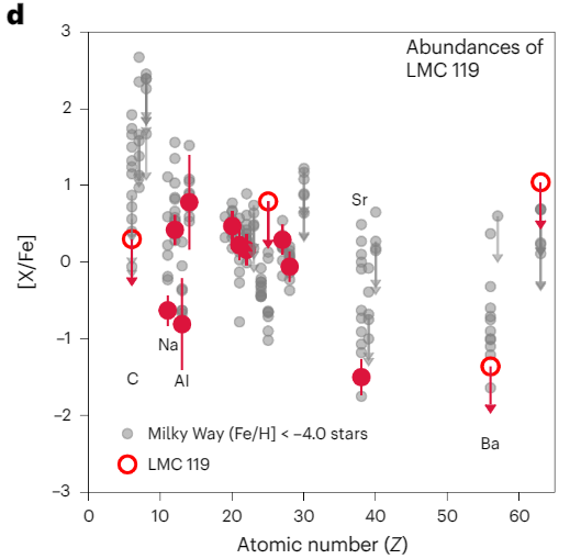 This figure from the research compares the atomic abundances of LM 119 to red giant stars in the Milky Way's halo, where older, metal-poor stars are situated. As the figure shows, LMC 119 has much lower metallicity than the Milky Way's metal-poor stars. Image Credit: Chiti et al. 2024.