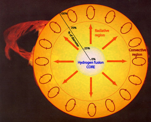 This diagram of the Sun helps explain dredge-ups. The Sun is still on the main sequence, so its convective region is on its surface. But when stars like the Sun become red giants, temporary convective cells called dredge-ups can reach from the surface all the way to the fusion core. This can introduce different chemical elements onto the visible surface. Image Credit: CSIRO/ATNF/Naval Research Laboratory